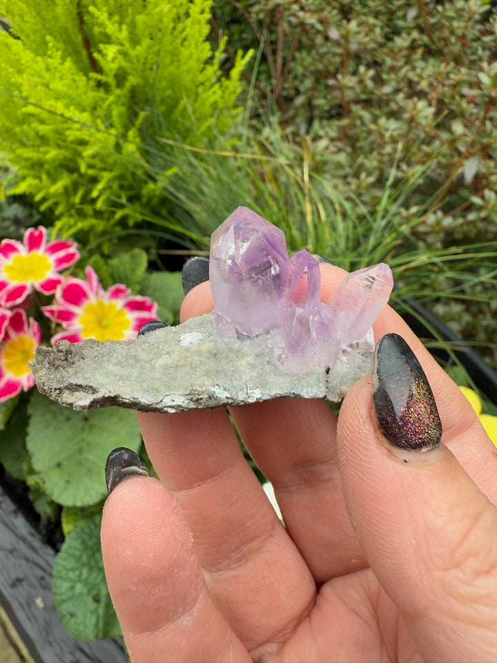 Vera Cruz Amethyst Specimen from Mexico
