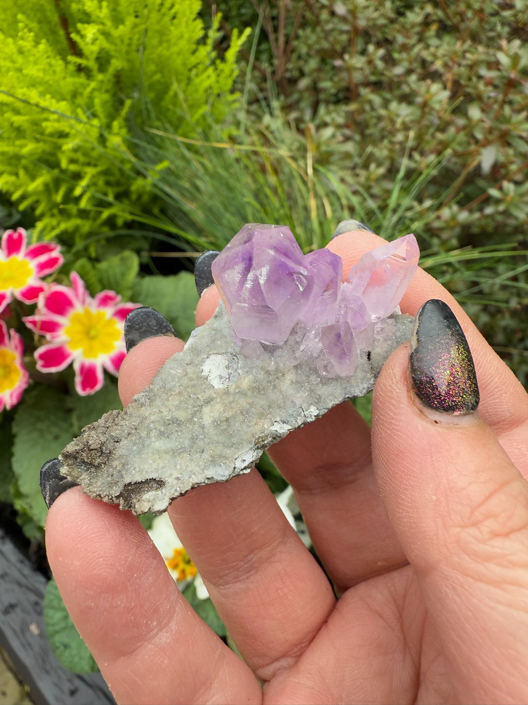 Vera Cruz Amethyst Specimen from Mexico