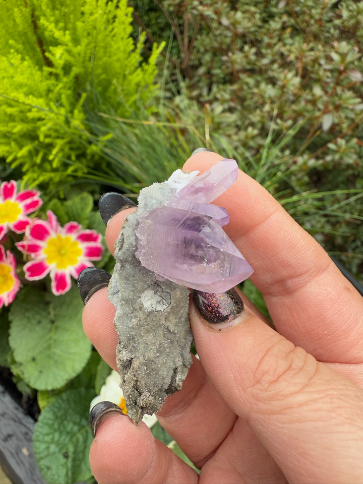 Vera Cruz Amethyst Specimen from Mexico