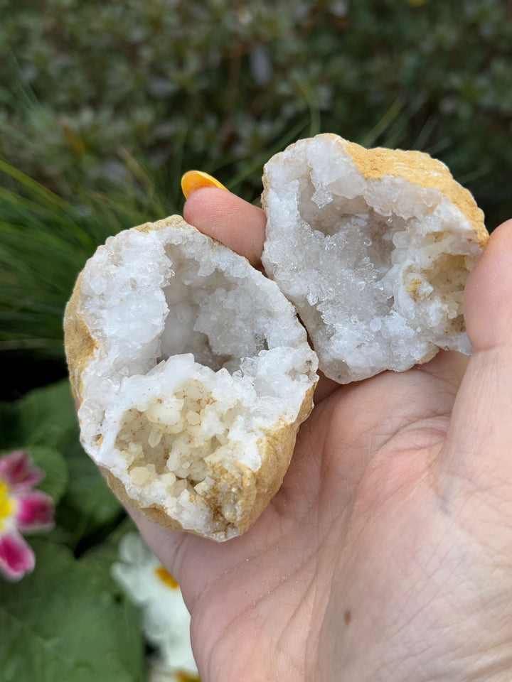 Complete Snow Quartz Geode Specimen
