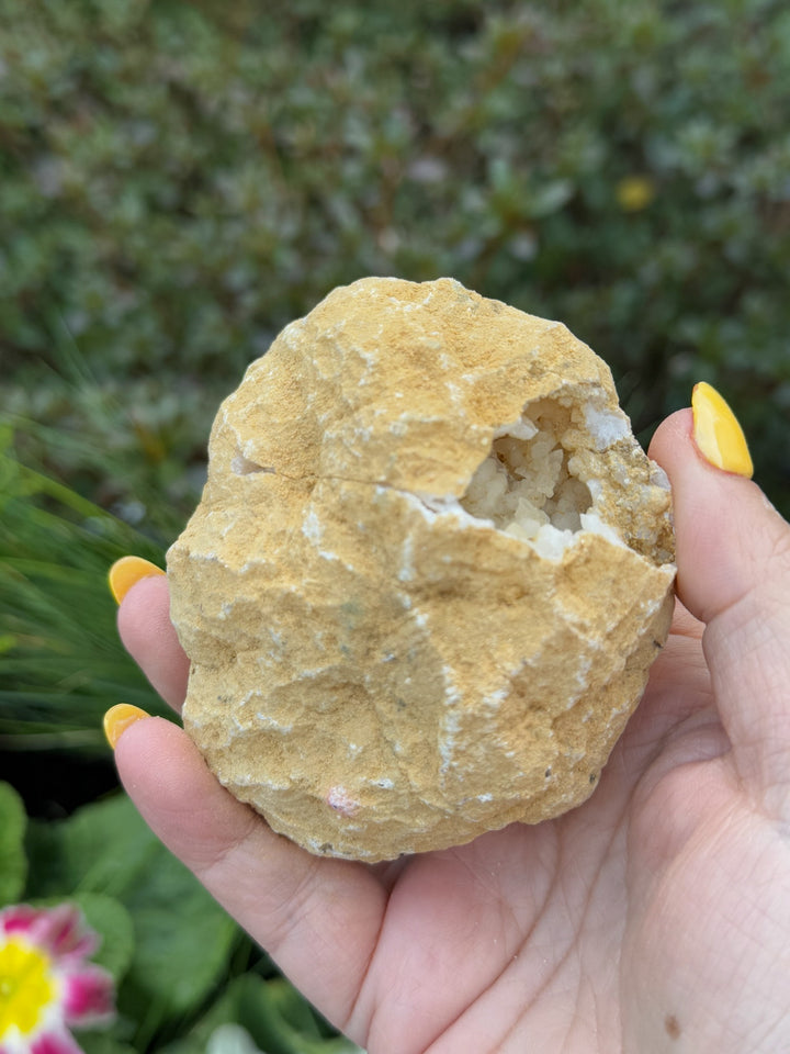 Complete Snow Quartz Geode Specimen