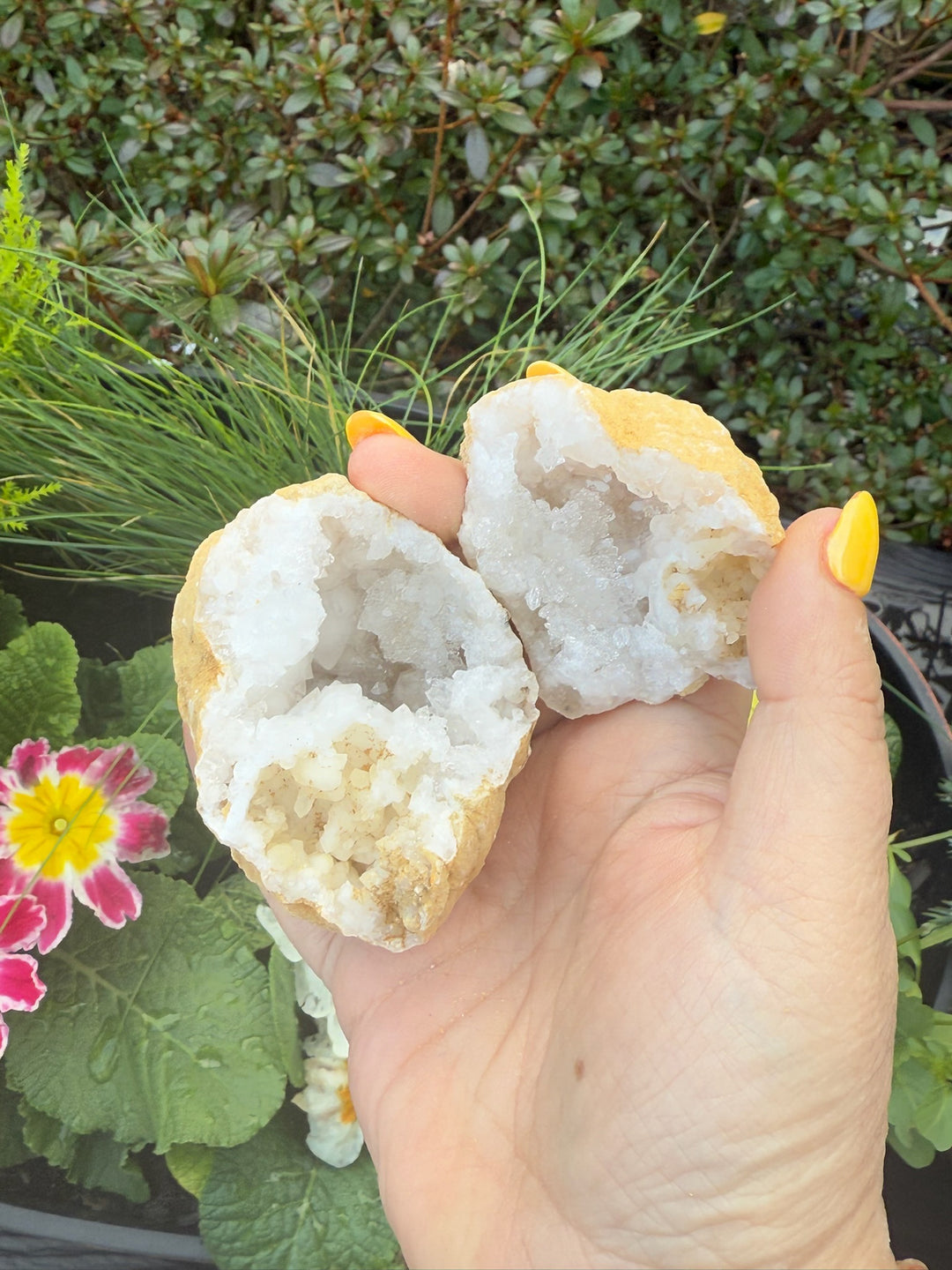 Complete Snow Quartz Geode Specimen