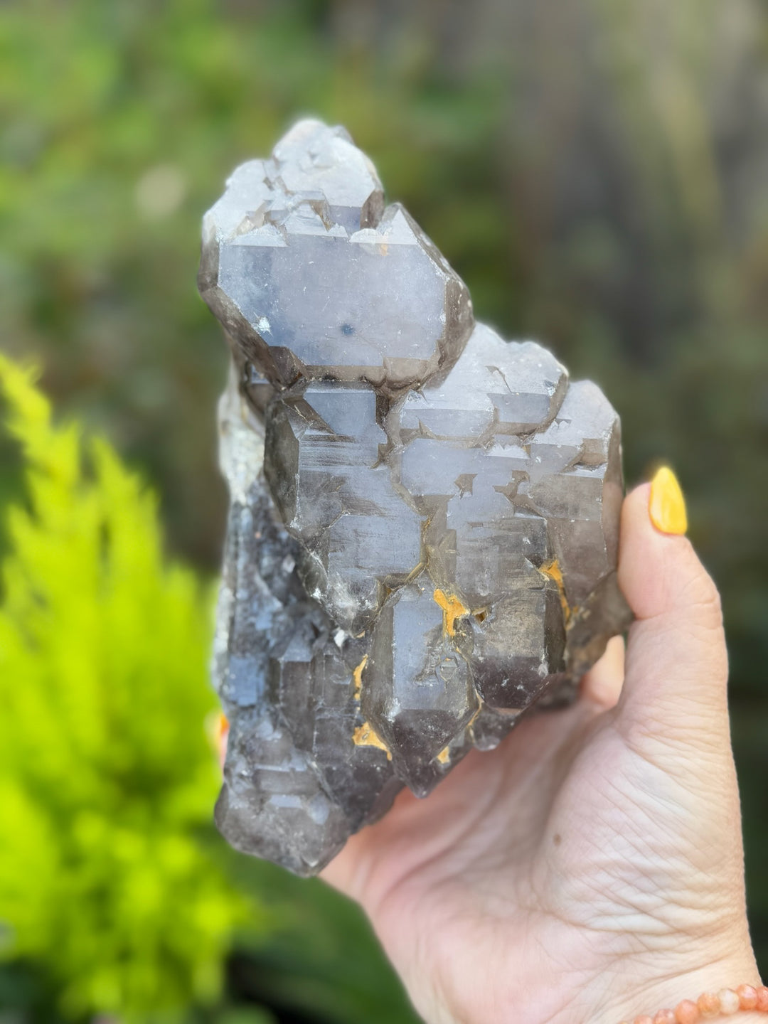 Large Elestial Smoky Quartz and Crocodile Quartz Specimen
