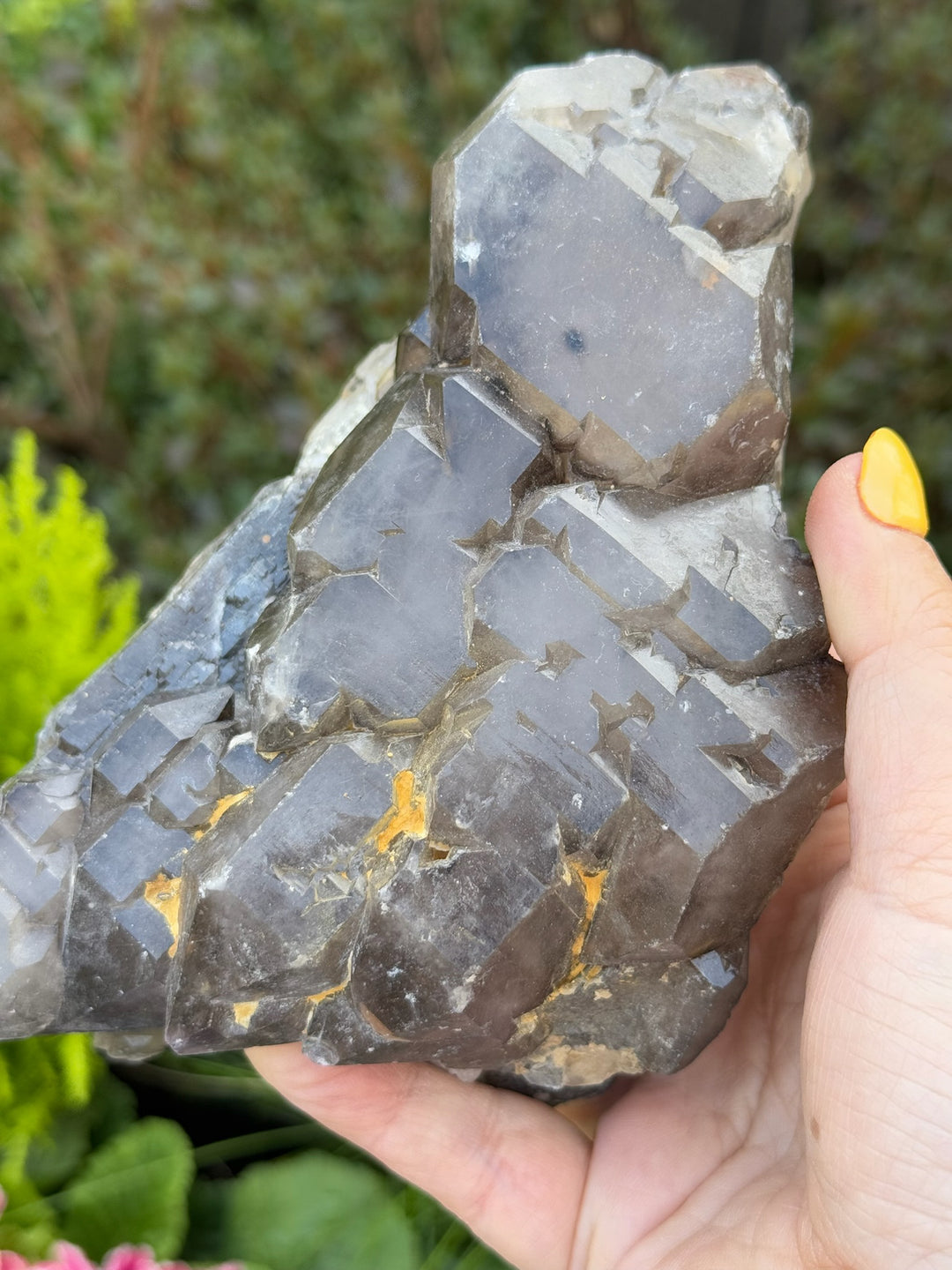 Large Elestial Smoky Quartz and Crocodile Quartz Specimen