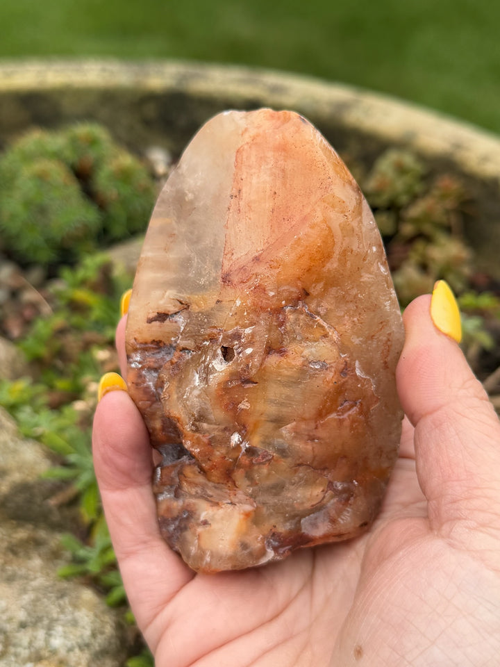 Amphibole Quartz Polished and Rough Specimen with Stand