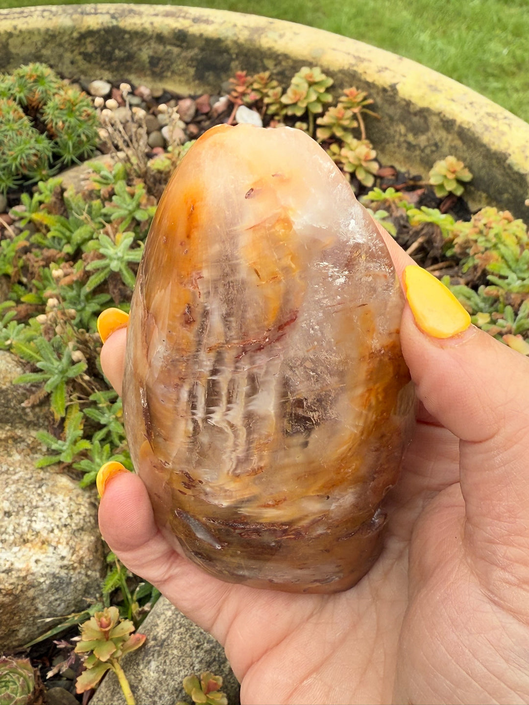 Amphibole Quartz Polished and Rough Specimen with Stand
