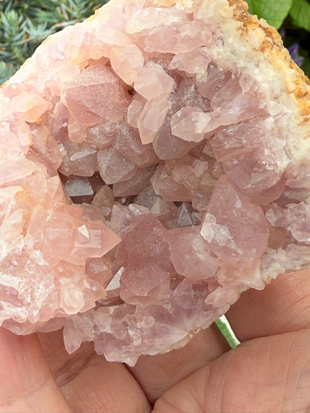 Pink Amethyst Geode Specimen from Patagonia