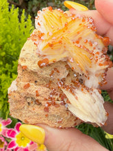 Load image into Gallery viewer, Vanadinite on Baryte Specimen
