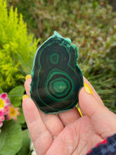 Load image into Gallery viewer, Polished Malachite Stalactite Specimen
