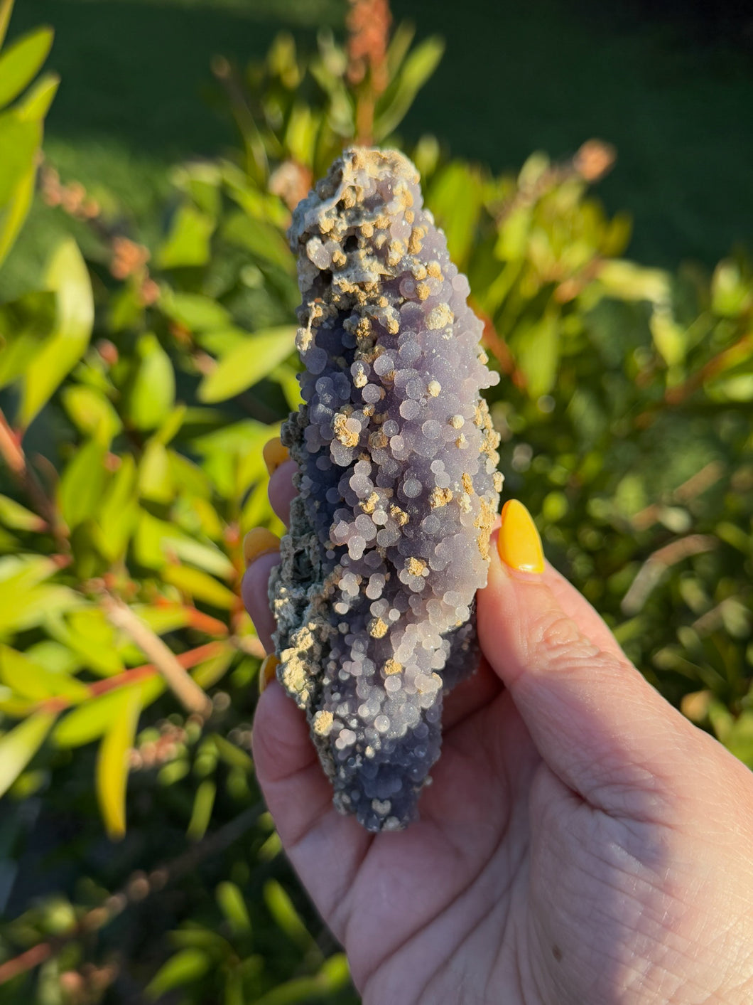 Grape Chalcedony and Agate Specimen