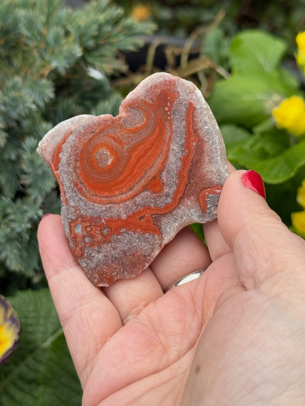 Dulcote Agate Polished Slice Specimen from UK