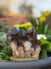 Load image into Gallery viewer, Large Natural Smoky Quartz Cluster with Tourmaline Specimen
