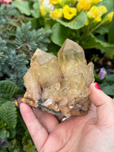 Load image into Gallery viewer, Kundalini Citrine Cluster Specimen
