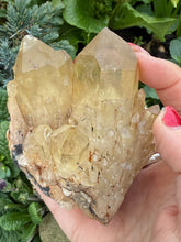 Load image into Gallery viewer, Kundalini Citrine Cluster Specimen
