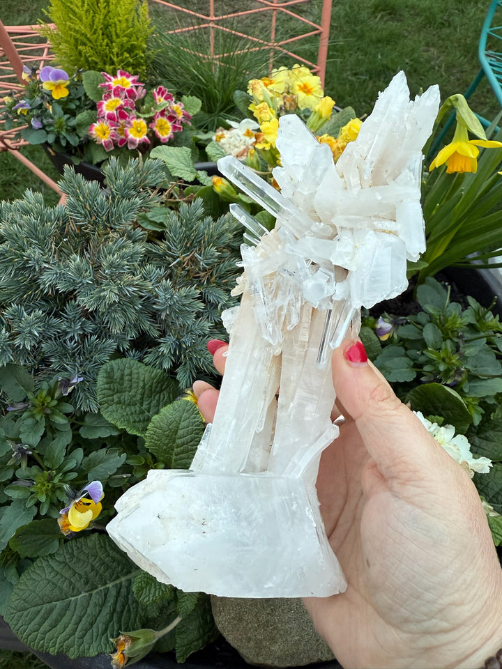 Incredible Self Healed Columbian Quartz Specimen