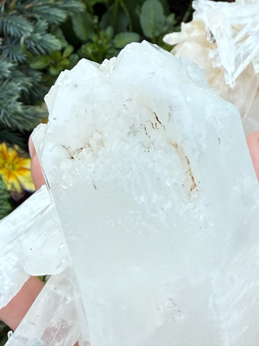 Incredible Self Healed Columbian Quartz Specimen