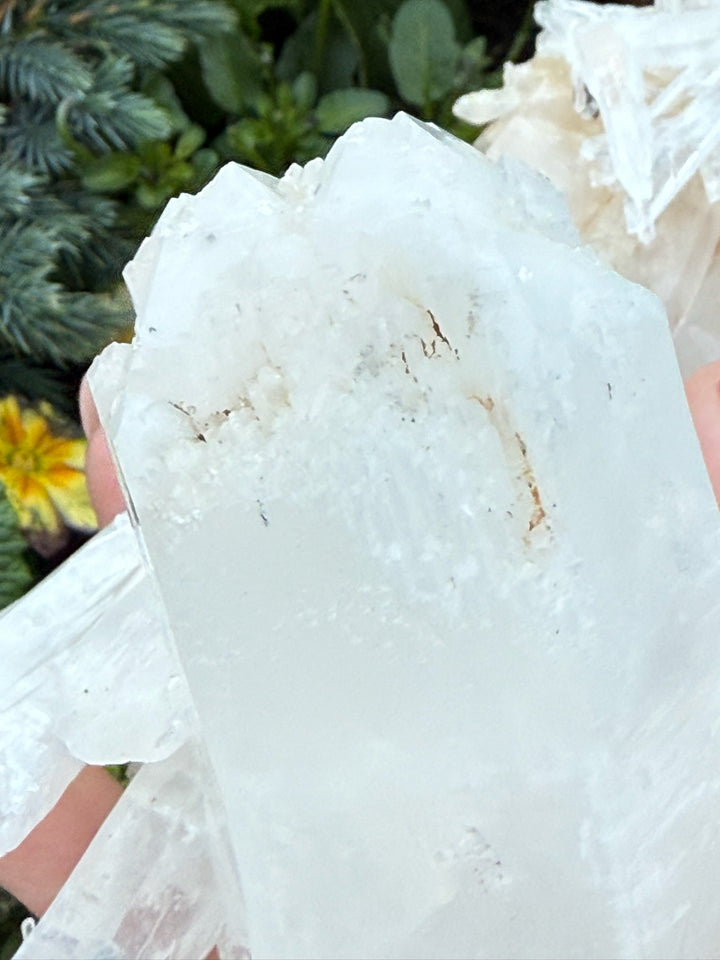 Incredible Self Healed Columbian Quartz Specimen