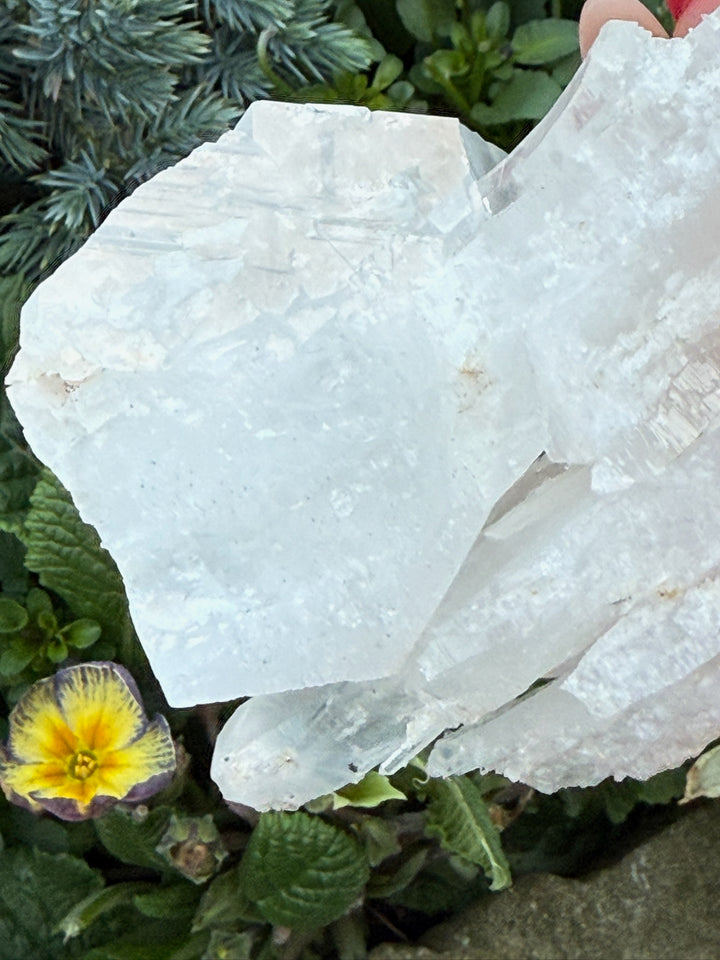 Incredible Self Healed Columbian Quartz Specimen