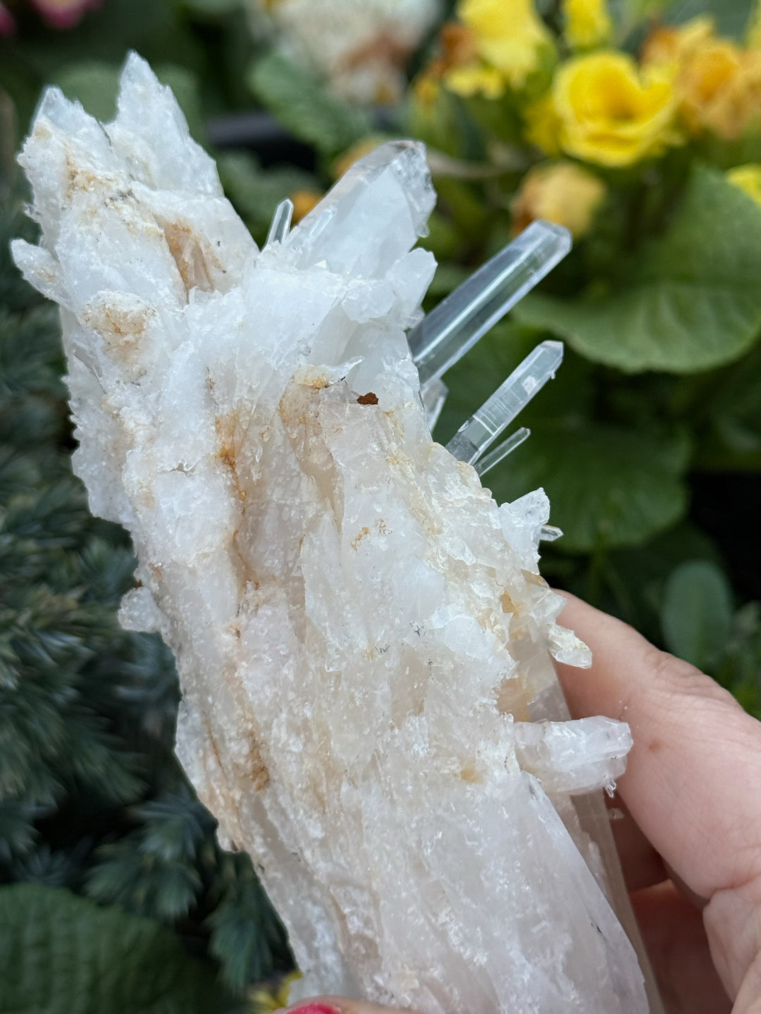 Incredible Self Healed Columbian Quartz Specimen