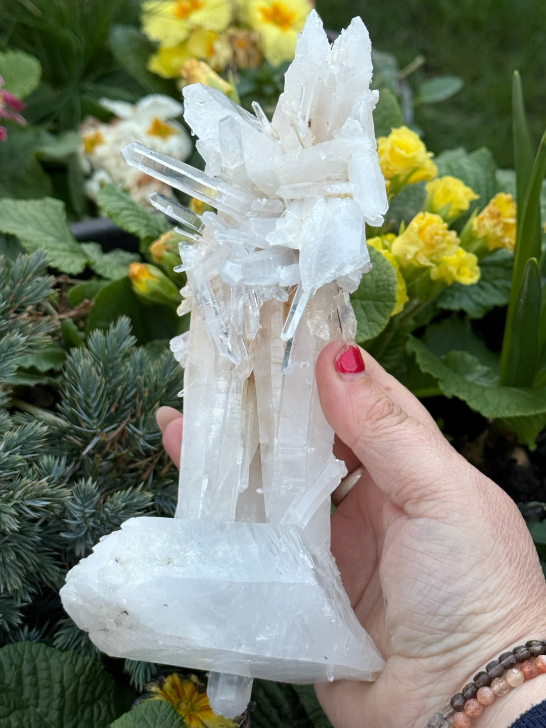 Incredible Self Healed Columbian Quartz Specimen