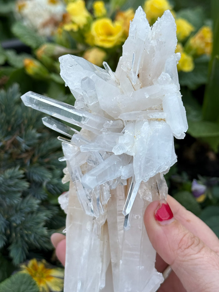 Incredible Self Healed Columbian Quartz Specimen