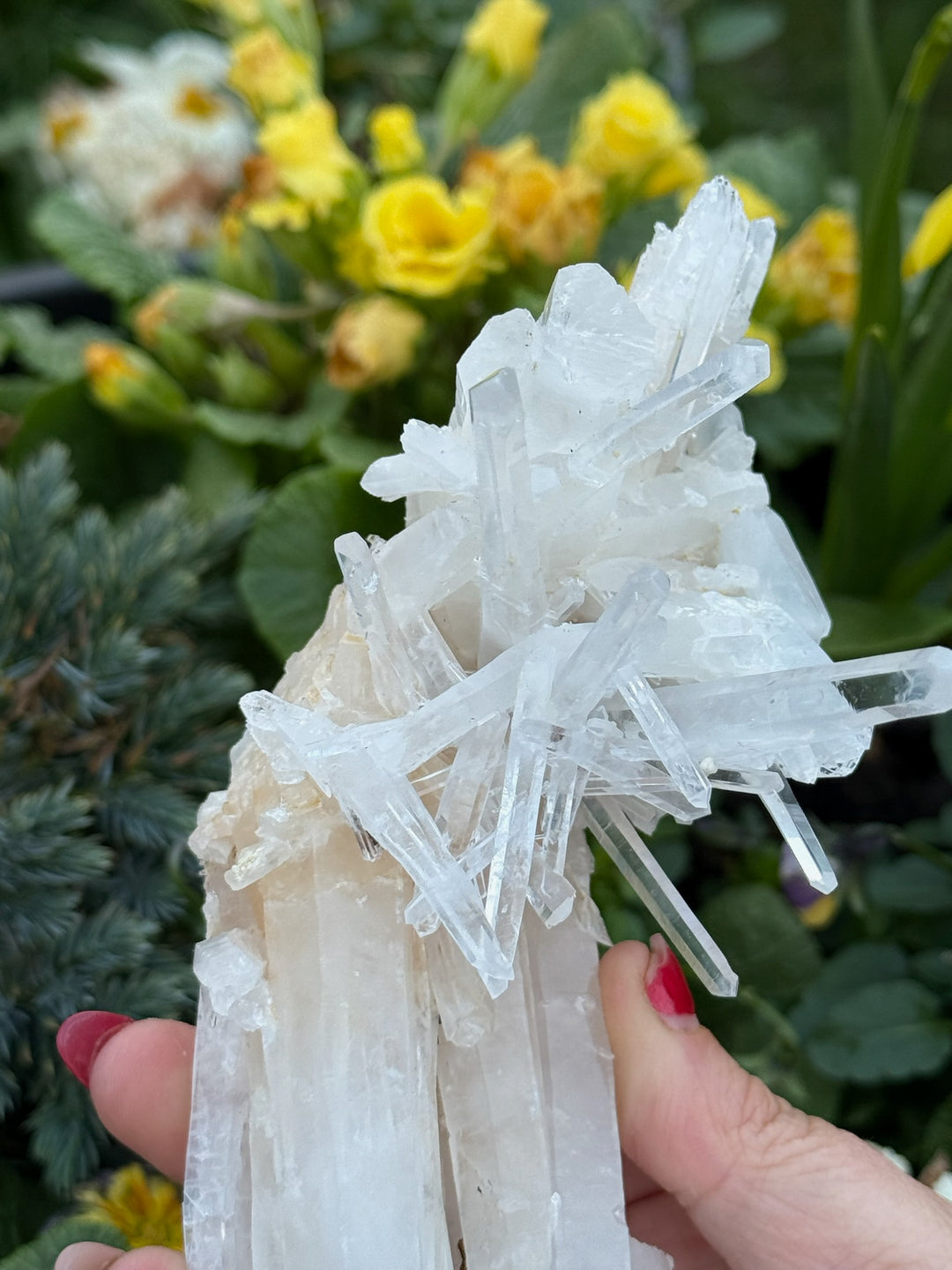 Incredible Self Healed Columbian Quartz Specimen