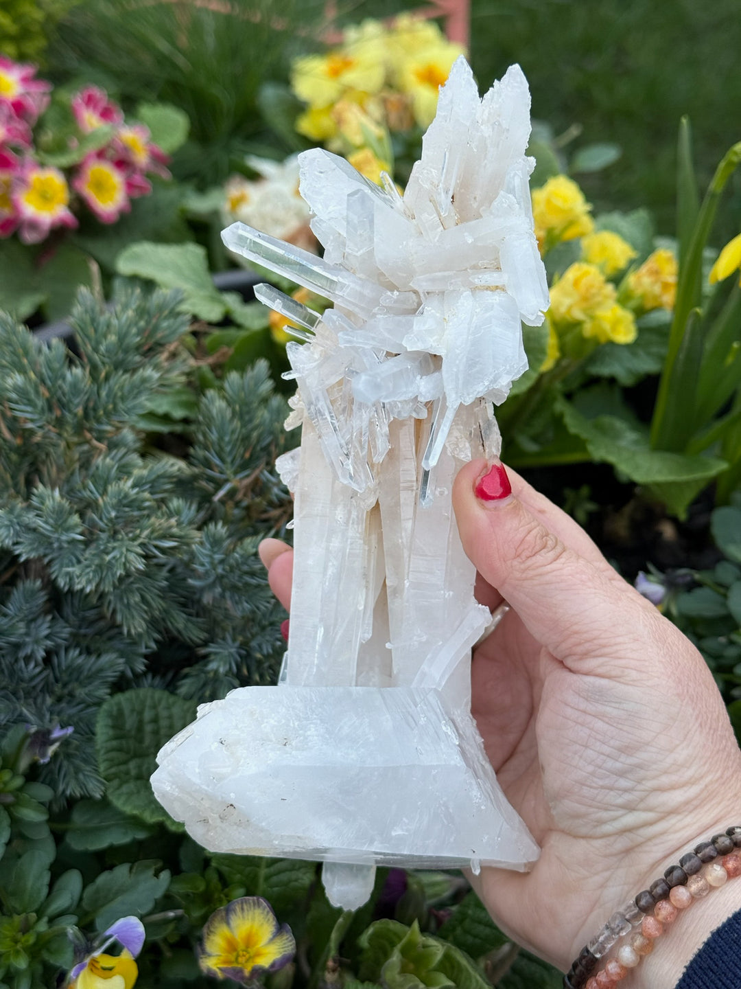 Incredible Self Healed Columbian Quartz Specimen