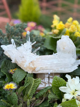 Load image into Gallery viewer, Incredible Self Healed Columbian Quartz Specimen
