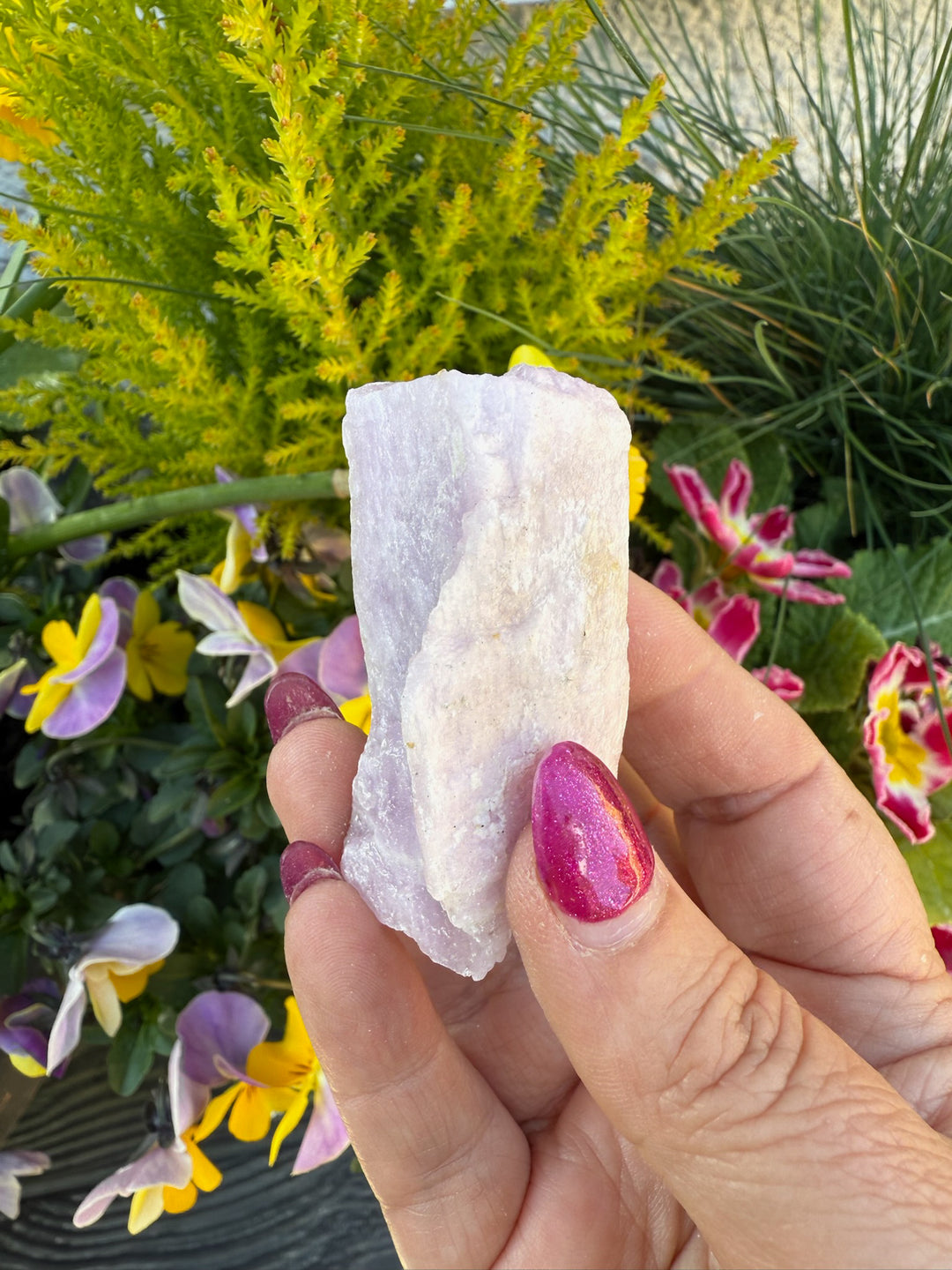 Uv Reactive Kunzite Specimen