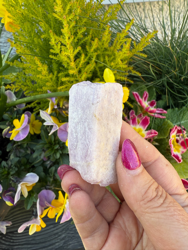 Uv Reactive Kunzite Specimen