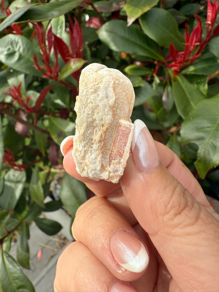 Pink Tourmaline on Matrix Specimen