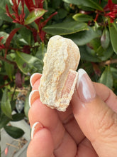 Load image into Gallery viewer, Pink Tourmaline on Matrix Specimen
