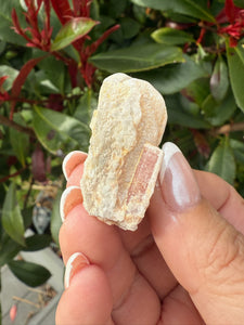 Pink Tourmaline on Matrix Specimen