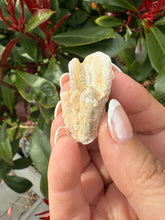 Load image into Gallery viewer, Pink Tourmaline on Matrix Specimen
