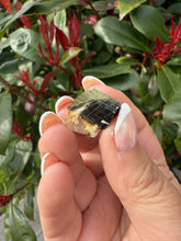 Load image into Gallery viewer, Bicolour Tourmaline Specimen
