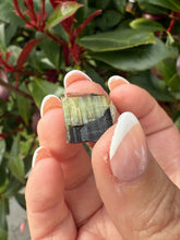 Load image into Gallery viewer, Bicolour Tourmaline Specimen
