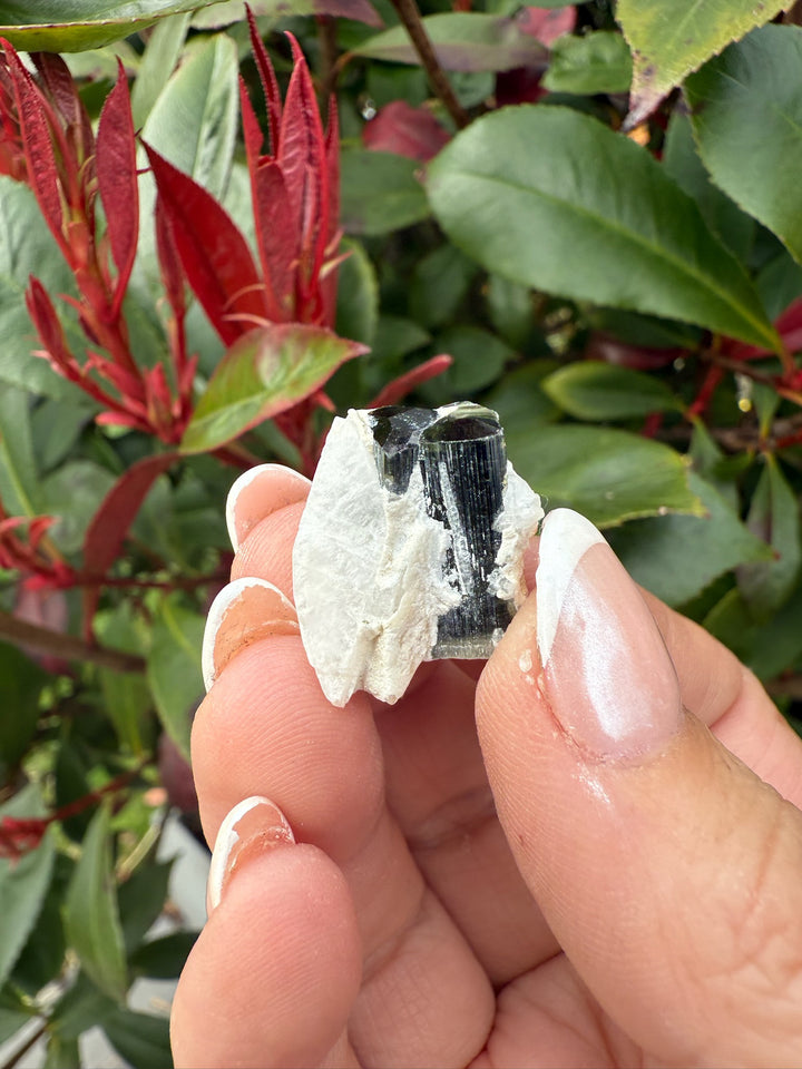 Twin Terminated Green Tourmaline Specimen