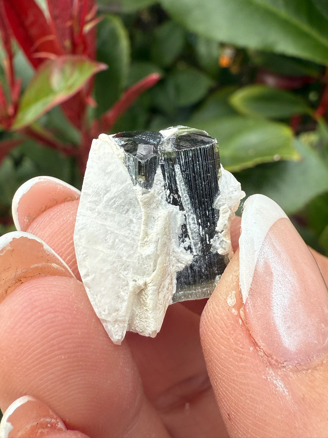 Twin Terminated Green Tourmaline Specimen
