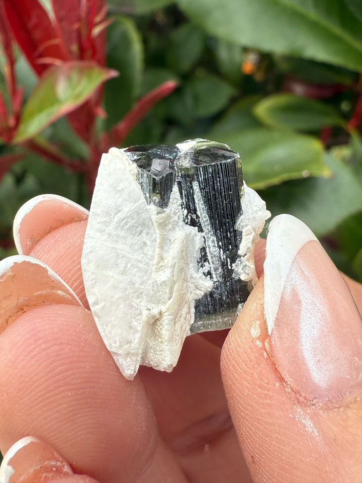 Twin Terminated Green Tourmaline Specimen