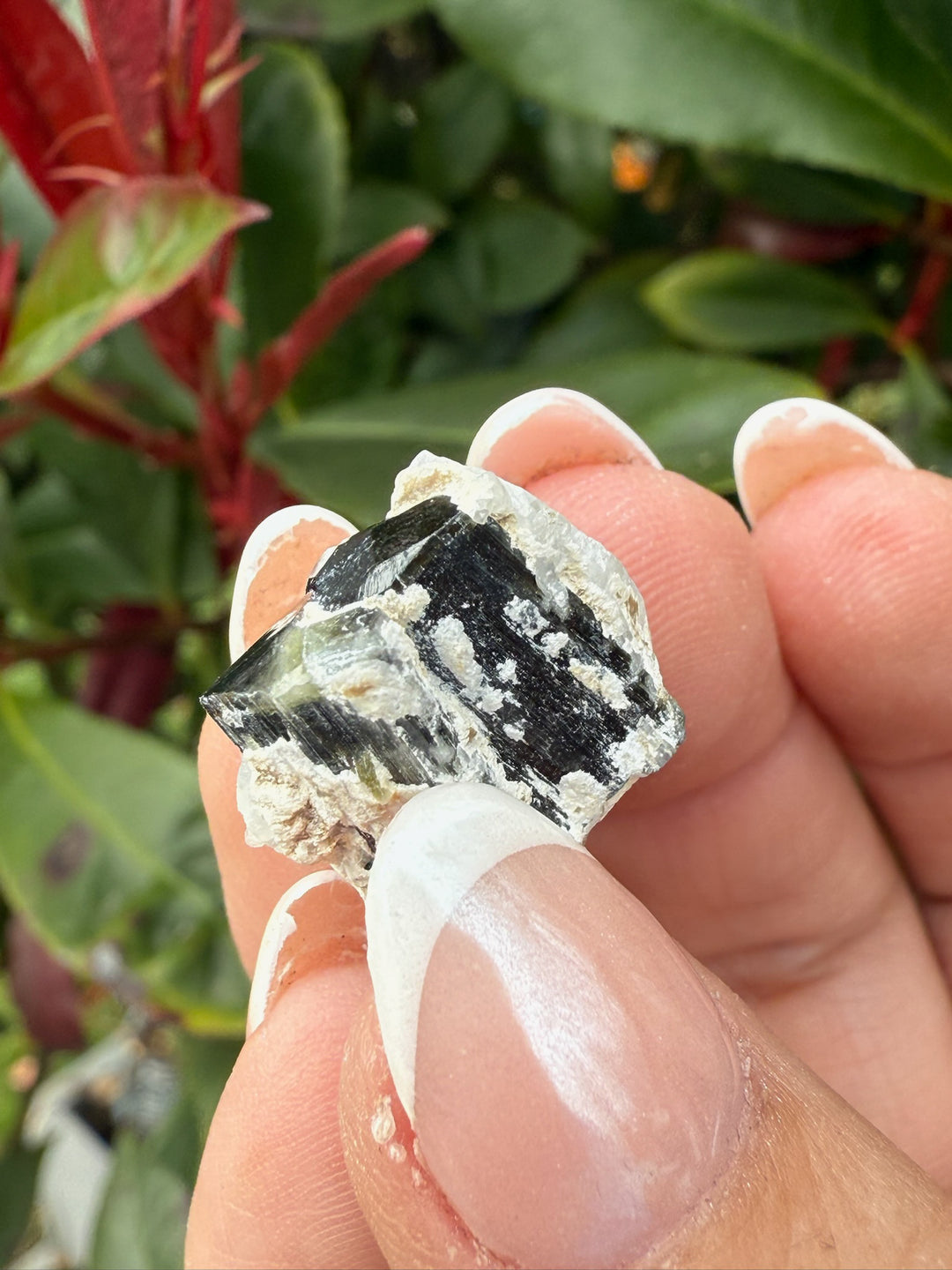 Twin Terminated Green Tourmaline Specimen