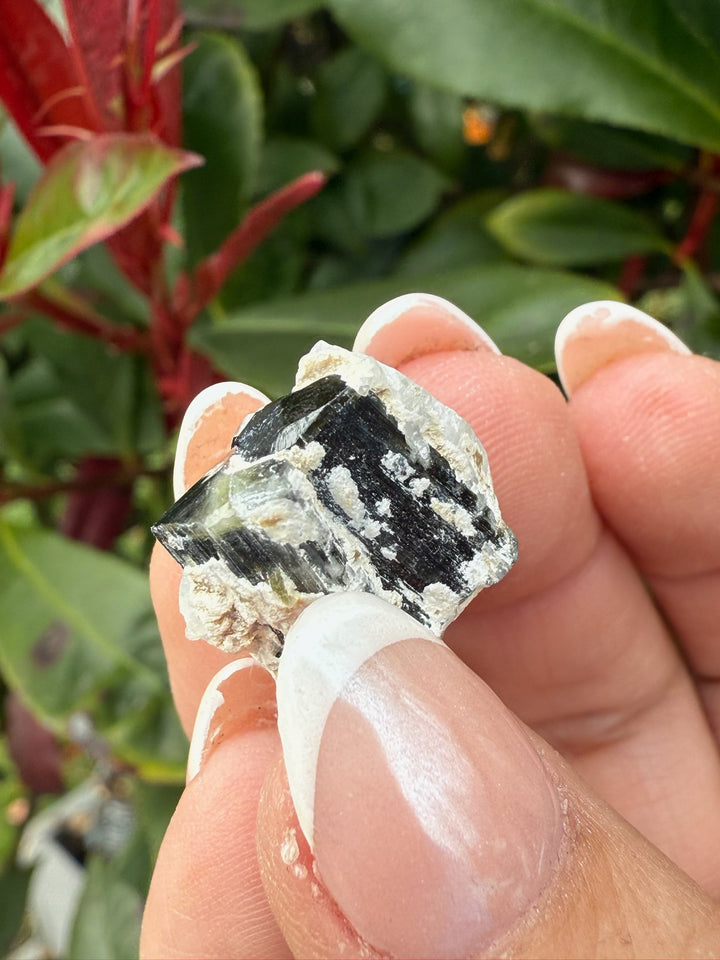 Twin Terminated Green Tourmaline Specimen