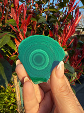 Load image into Gallery viewer, Malachite Stalactite Slice Specimen
