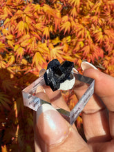 Load image into Gallery viewer, Azurite Specimen, Tsumeb, Namibia
