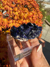 Load image into Gallery viewer, Large Azurite Crystal from Tsumeb, Namibia Specimen
