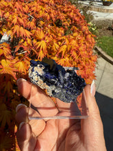 Load image into Gallery viewer, Large Azurite Crystal from Tsumeb, Namibia Specimen
