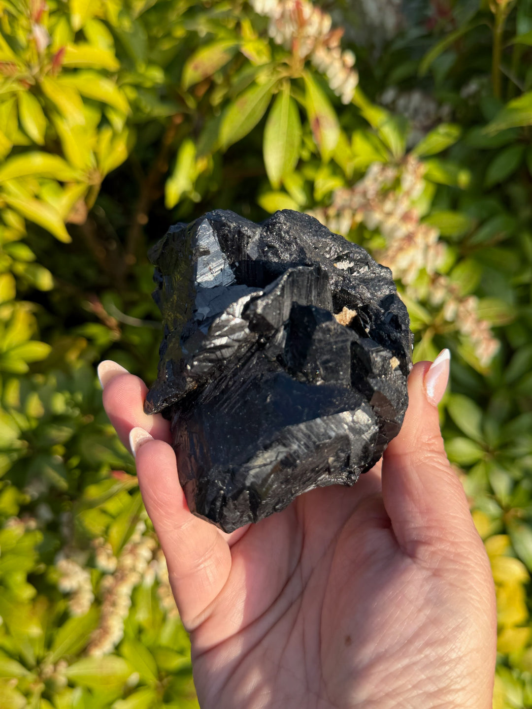 Black Tourmaline Specimen