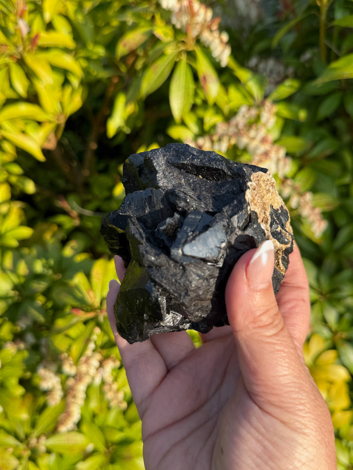Black Tourmaline Specimen