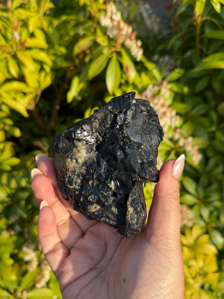 Black Tourmaline Specimen