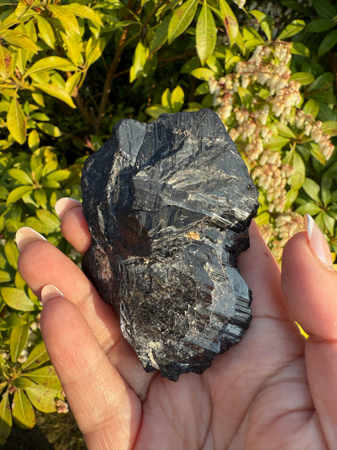 Terminated Black Tourmaline Specimen