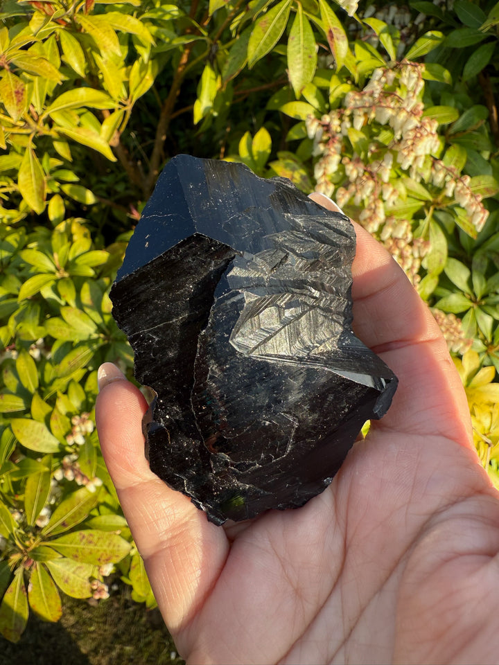 Terminated Black Tourmaline Specimen